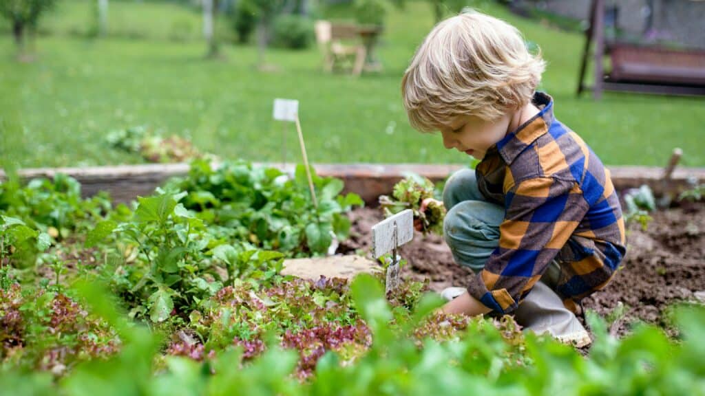 animations-pedagogiques-enfant-potager Animations pédagogiques nature, plantes et potagers, pour les enfants