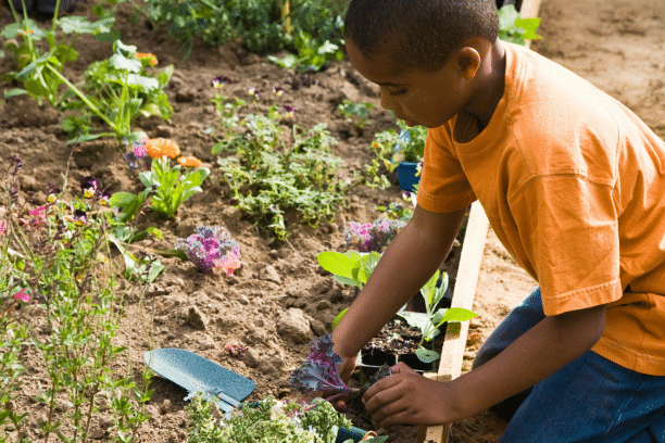 animations-plantes-enfants Enfant qui apprend à jardiner et planter des légumes au potager.