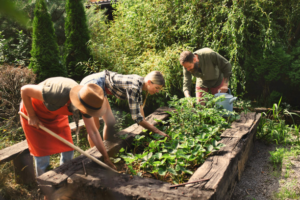 animations-jardin-potager Jardiniers au potager