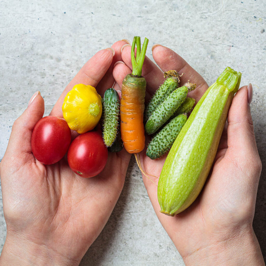 mini-legumes Des mini légumes